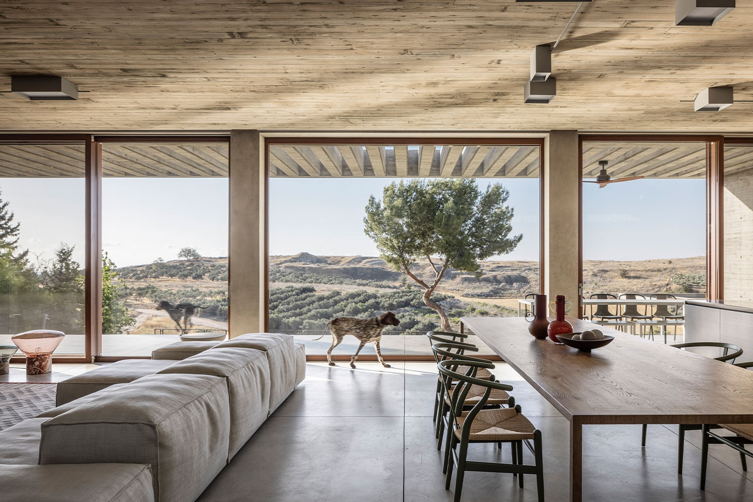 THE COUNTRYSIDE HOUSE