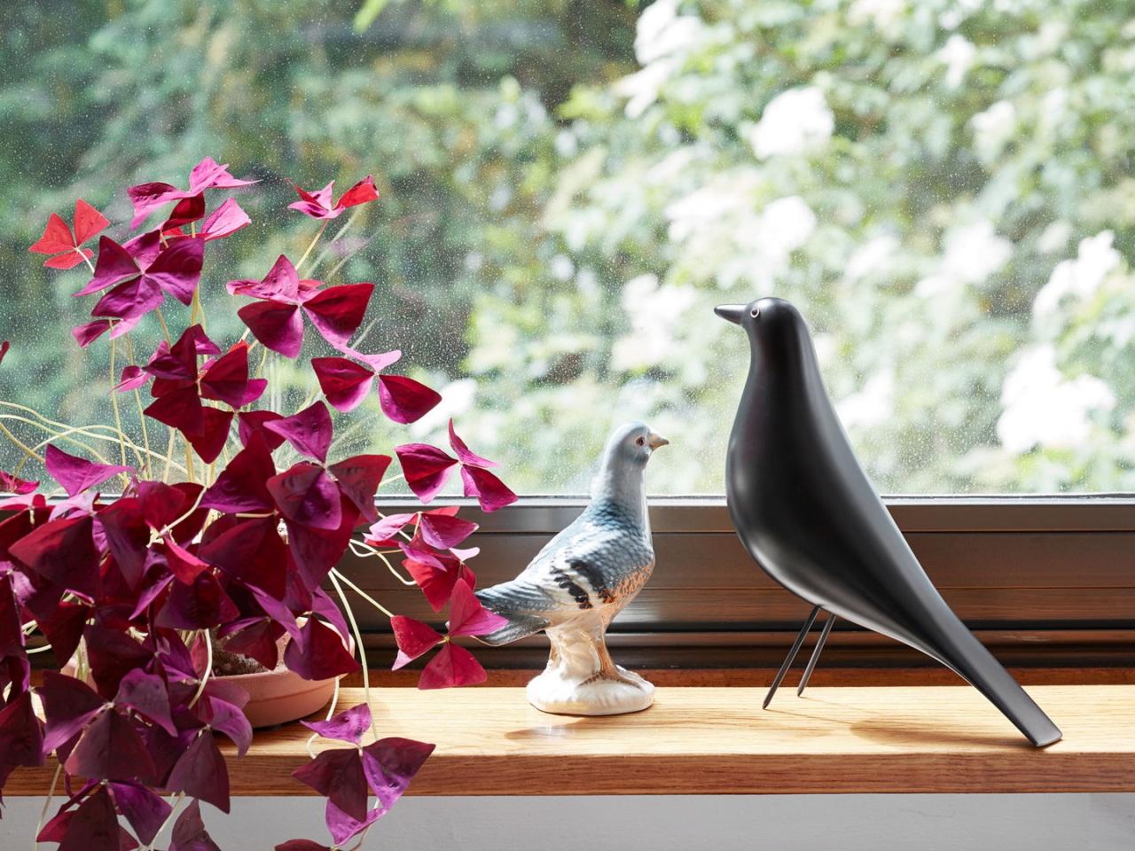 Eames House Bird